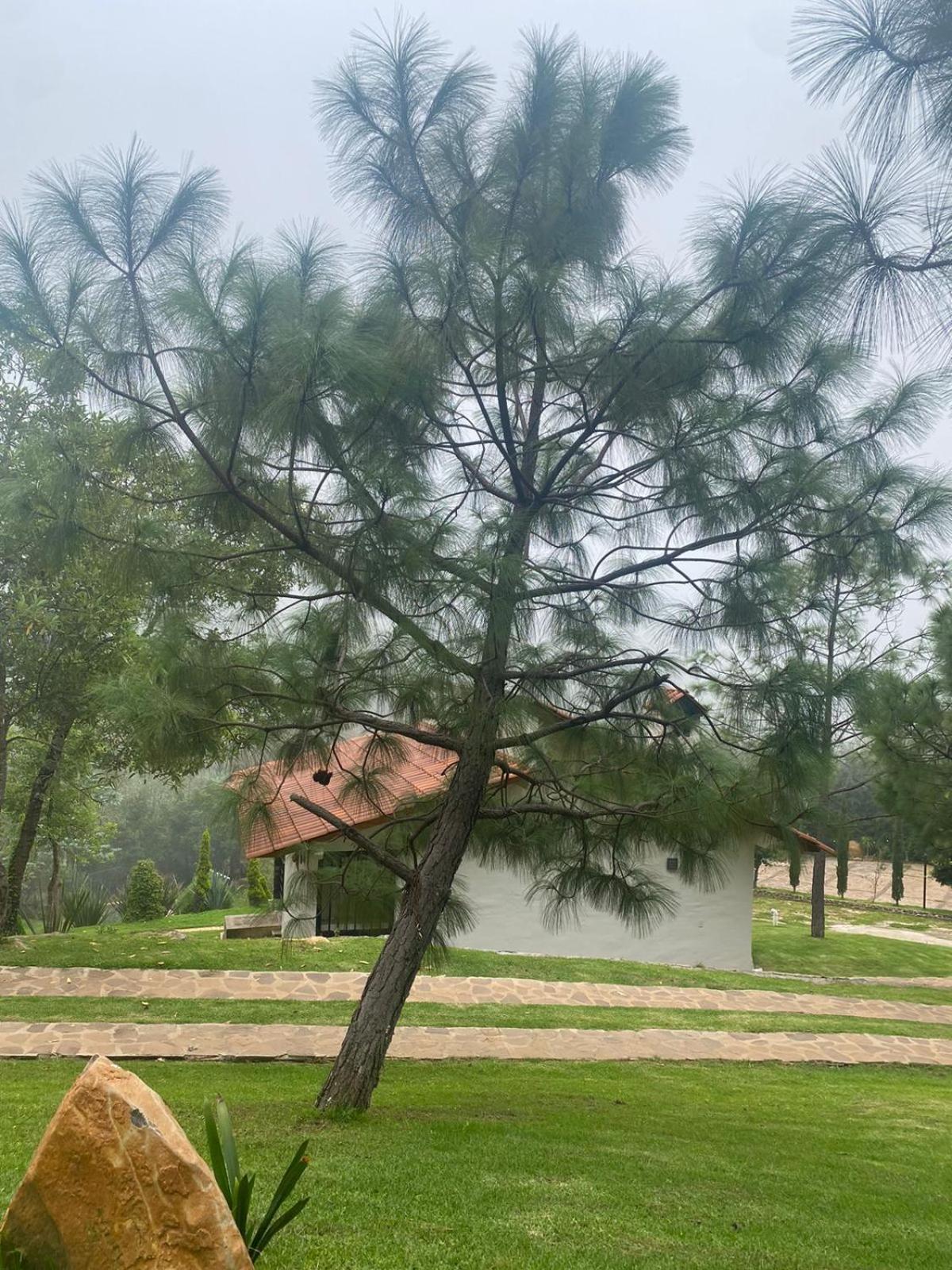 Cabanas Santorito Mazamitla Zewnętrze zdjęcie